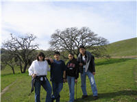 Winter in California is nice and green